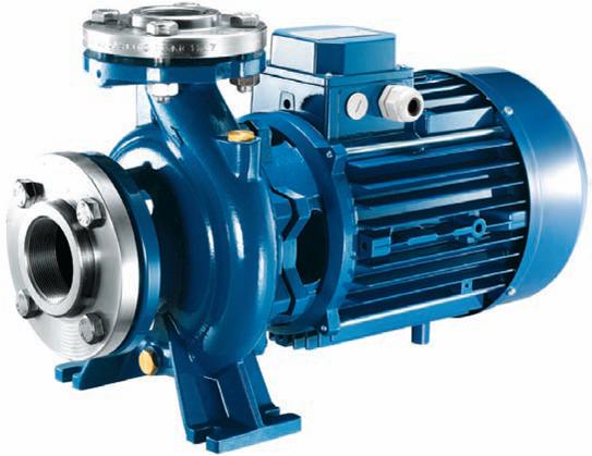 Foras MN32-200B - AfriPumps -