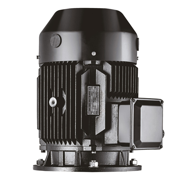 Tesk Vertical multistage motor (B5 Flange) 22kW 400V